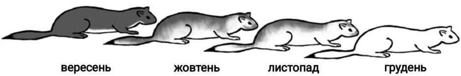 0301bfbp-33f5-940x155.jpg