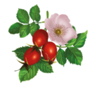 0301bk5l-ade5-135x124.png
