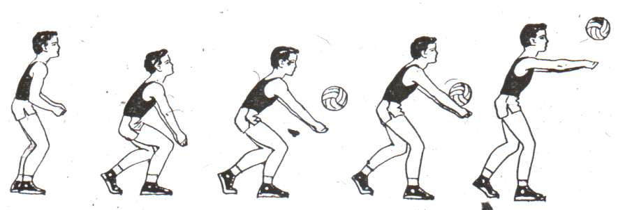 0301bkni-f54d-895x302.png