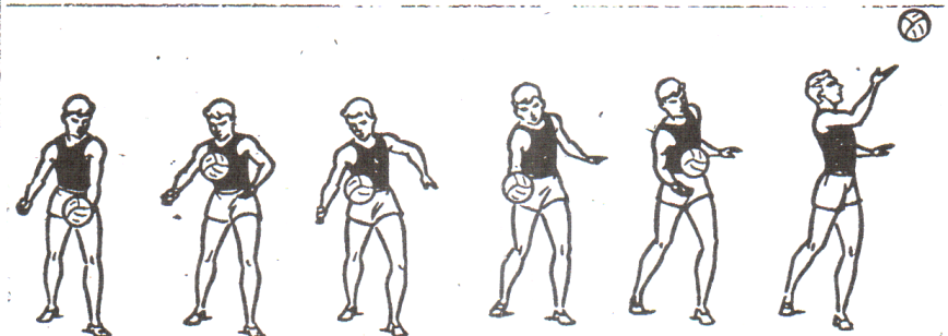 0301bknm-e946-868x308.png