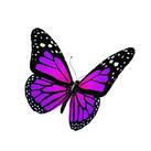 0301bl5s-9e9a-137x137.jpg