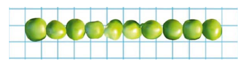 0301bnag-a869-502x135.png