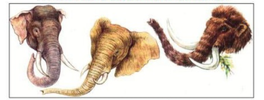 0301boej-47ec-543x206.png