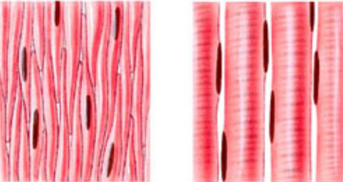 0301br10-30d5-500x266.png