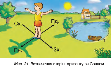 Як "знайти" сторони світу та навчитись орієнтуватися на місцевості? | Тест з природознавства – «На Урок»