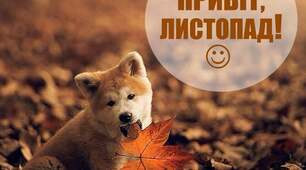 Планування під час військового стану для музичного керівника на Листопад місяць