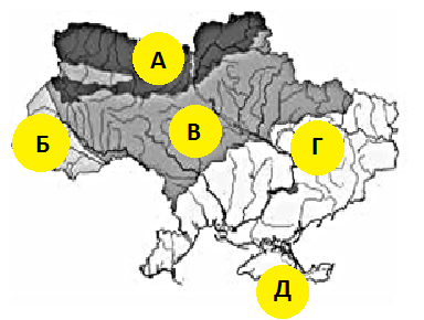 0301bswd-1b19-384x290.png