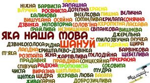 Опитування за темою "Текст"
