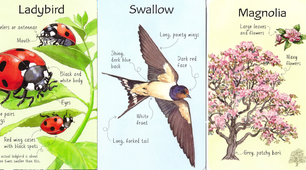 Картки |Birds | Bugs | Trees (3 комплекти)