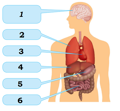 0301c01q-1f46-416x384.png
