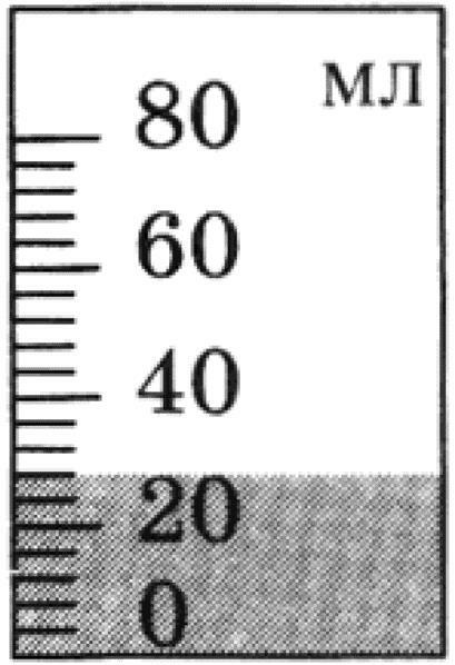 0301c2ms-b9c8-409x598.jpg