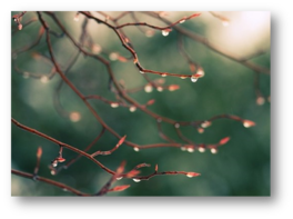 0301c4bv-73ed-264x197.png