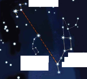 0301c4bw-b317-280x254.png