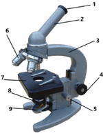 0301cb7g-5aaf-150x200.png