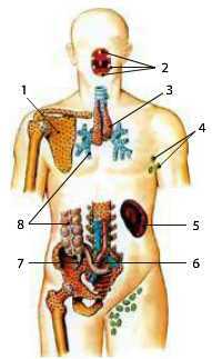 0301cbjd-5caa-191x323.jpg