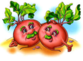 0301cclh-e546-83x61.png