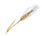 0301ccn7-b69d-83x71.png