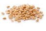 0301ccnz-a061-95x64.png