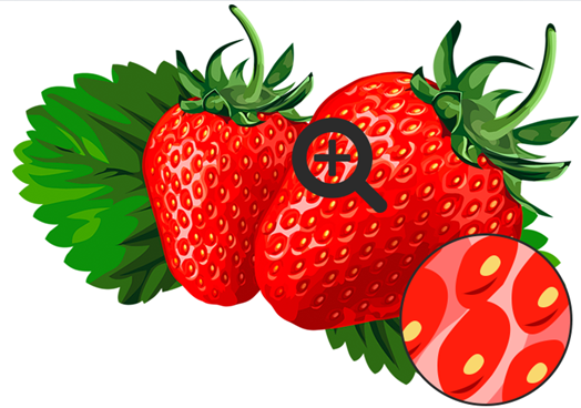 0301cexm-fdcf-524x368.png