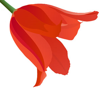 0301cf2b-c8be-318x296.png