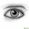 0301chuc-db98-100x100.jpg