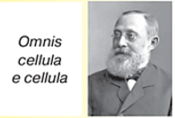0301crw8-2547-175x118.png