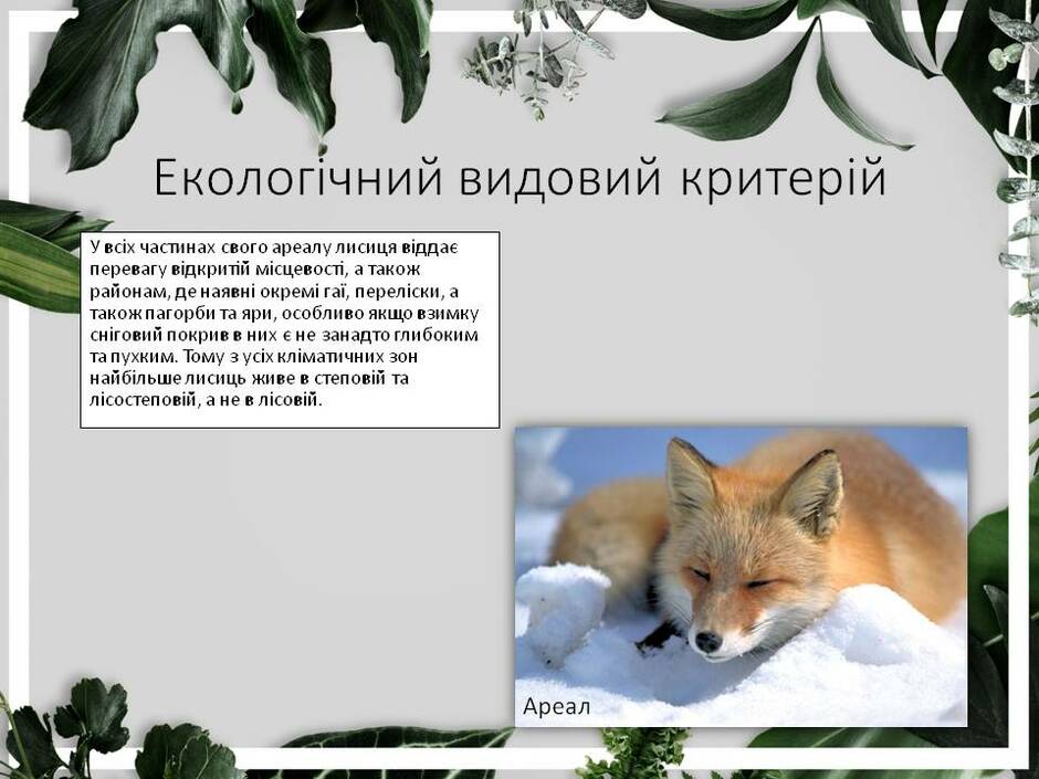 0301cxpi-75f1-940x705.jpg