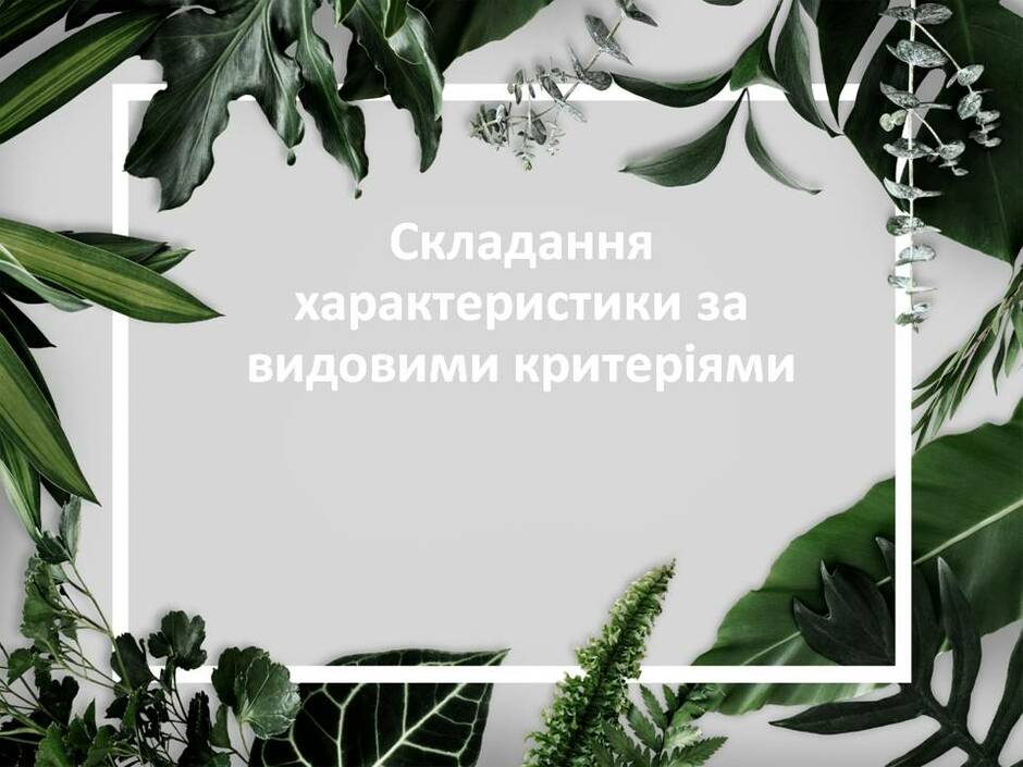 0301cxpj-f9d3-940x705.jpg