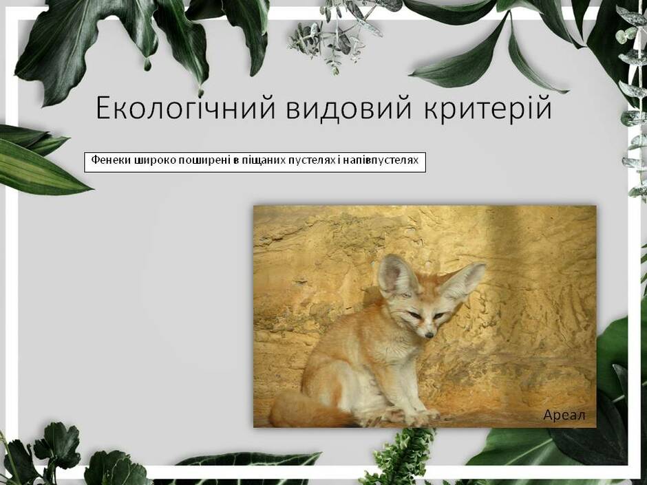0301cxpl-e648-940x705.jpg