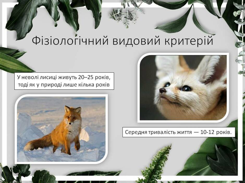 0301cxpo-2d20-940x705.jpg