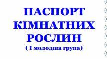 папка: ПАСПОРТ КІМНАТНИХ  РОСЛИН