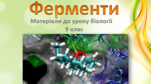 Презентація "Ферменти, їхня роль у клітині".