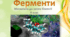 Презентація "Ферменти, їхня роль у клітині".