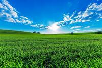 0301d0hs-c927-200x133.jpg