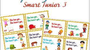 Speaking cards "She has got..He has got.."