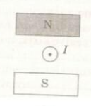 0301d12g-428b-174x204.png