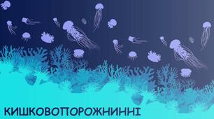 Тип Кишковопорожнинні. Гідра прісноводна.