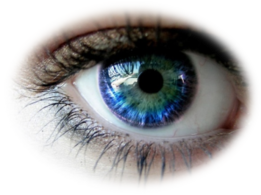 0301d2s0-f59a-261x195.png