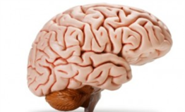 0301d2sg-0fa9-262x159.png