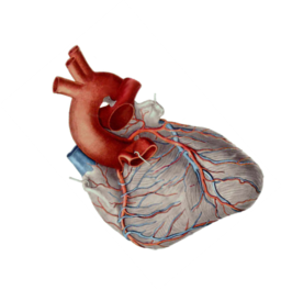 0301d2si-9aa6-256x264.png