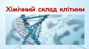Хімічний склад клітини