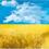 Белеля Світлана Йосипівна