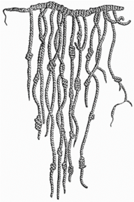0301dblp-8866-192x289.png