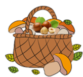 0301dfyp-7786-164x152.png