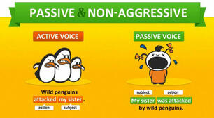 The Present Simple Passive Voice