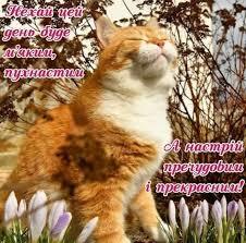 Картинки Гарного настрою