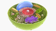 0301dwcz-8586-183x102.jpg