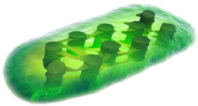 0301dx1h-f859-198x106.png