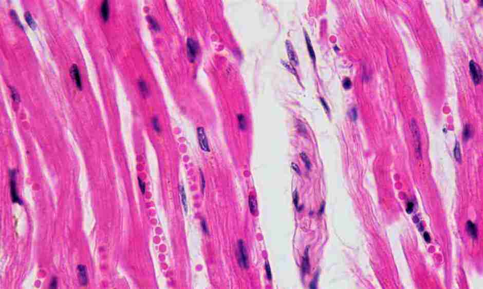 0301dzzc-d6f3-940x564.jpg
