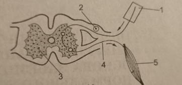 0301e1q8-c515-361x169.png